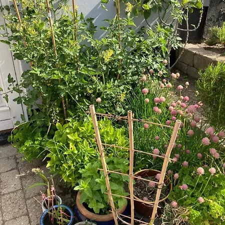 Ubytování v soukromí Centrum