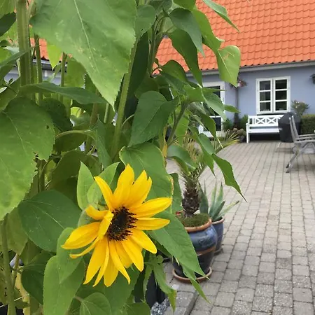 Centrum Ebeltoft