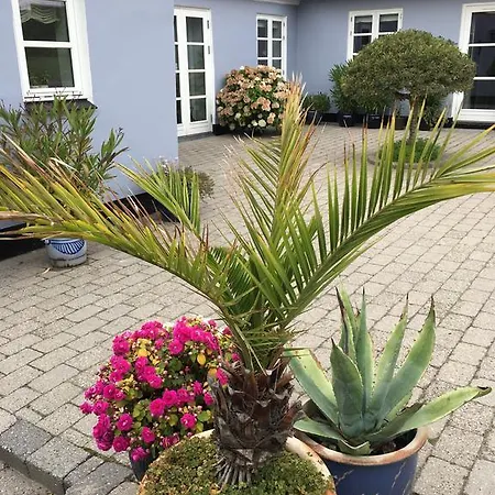 Privat bolig Centrum *