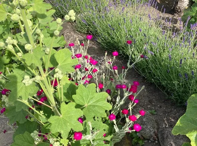 Centrum Проживание в семье Эбельтофт