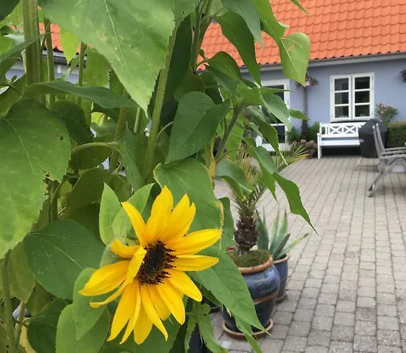 Centrum Эбельтофт