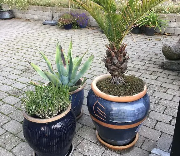 Centrum * Эбельтофт