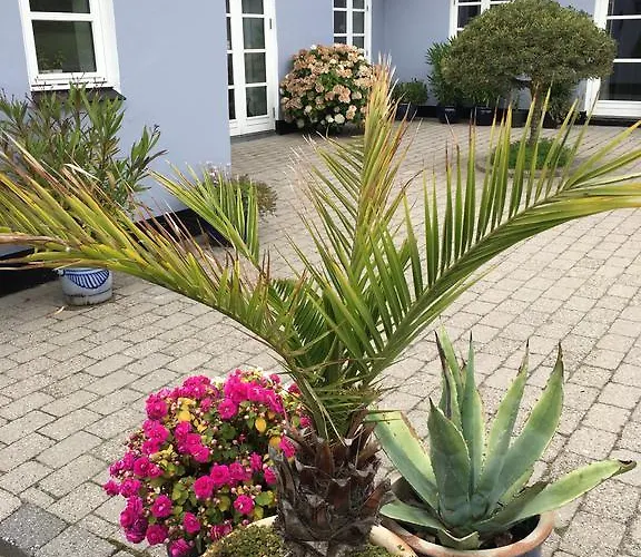 Проживание в семье Centrum *